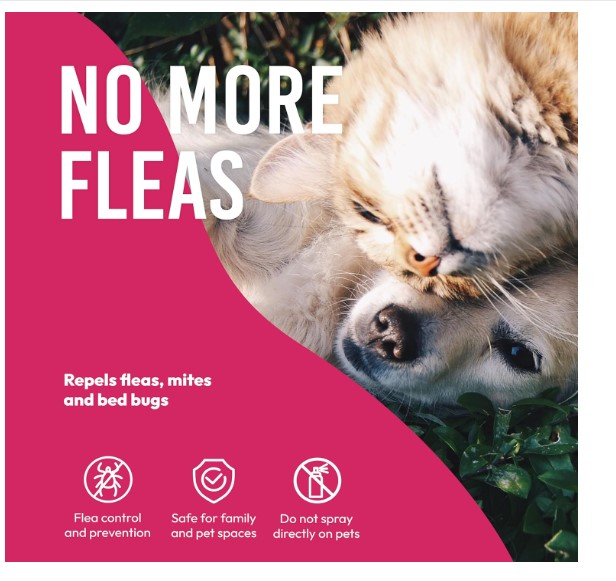 Top 10 Best Flea Treatments for Indoor Cats in the UK
