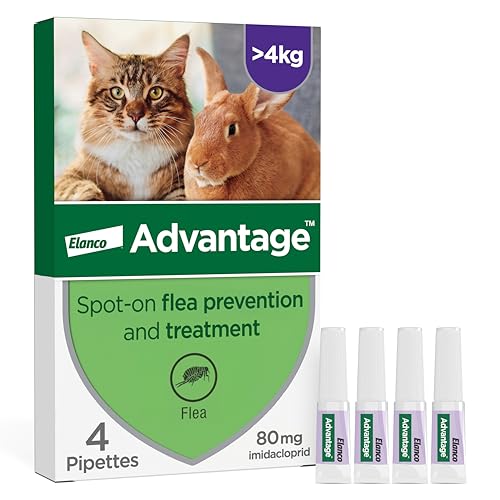 Advantage Spot On Flea Treatment For Large Cats and Rabbits Over 4kg (4 pipettes, 80mg), Kills Fleas Within 24 Hours, Prevents Further Infestation For Up To Four Weeks in Cats - Featured