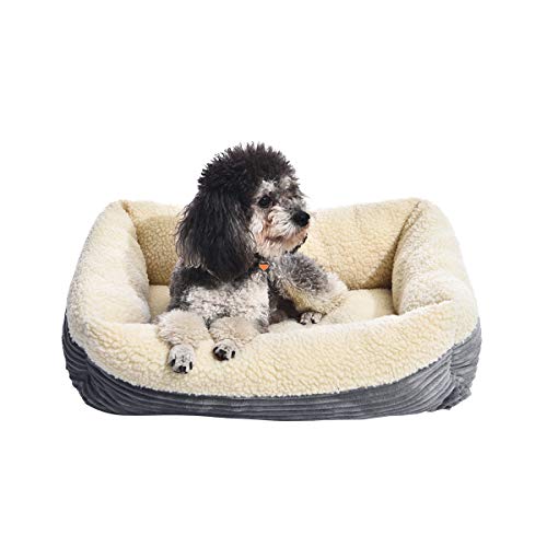 Amazon Basics Cat and Dog Bed, Washable Puppy Sofa, 61 cm, Grey - Featured