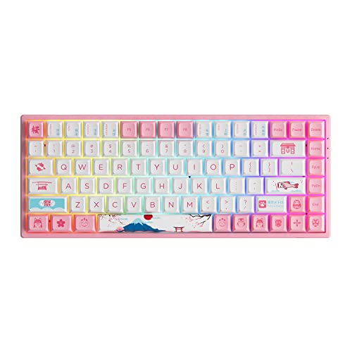 Akko 3084B Plus RGB Mechanical Gaming Keyboard, Multi Modes (BT5.0/2.4Ghz/Type C) Wireless Keyboard with 5 Pin Hot Swap, PBT Dye-Sub OSA Keycaps, Programmable Macros (Tokyo, Linear Switch) - Featured