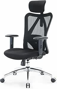 SIHOO Office Desk Chair, Ergonomic Computer Office Chair with Adjustable Headrest and Lumbar Support,High Back Executive Swivel Chair (Black) - Featured