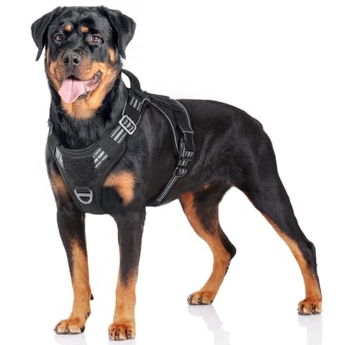 rabbitgoo Dog Harness Large Dog No Pull, Tactical Adjustable Pet Harness with Molle Panel, Breathable Military Vest, Reflective Walking Vest with Easy Control Handle for Training Walking, Black, L - Featured