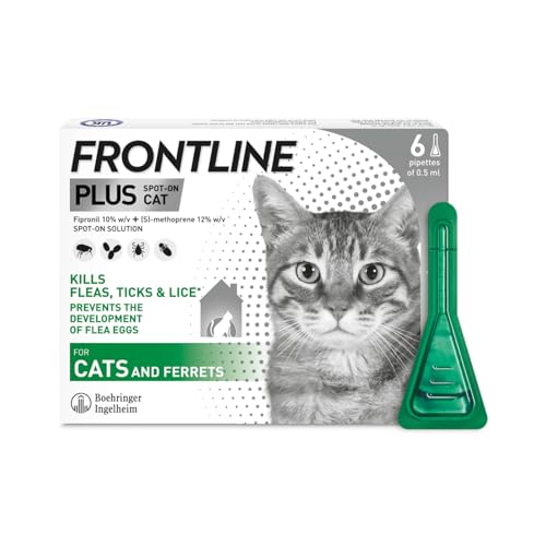FRONTLINE Plus Flea & Tick Treatment for Cats and Ferrets - 6 Pipettes - Featured
