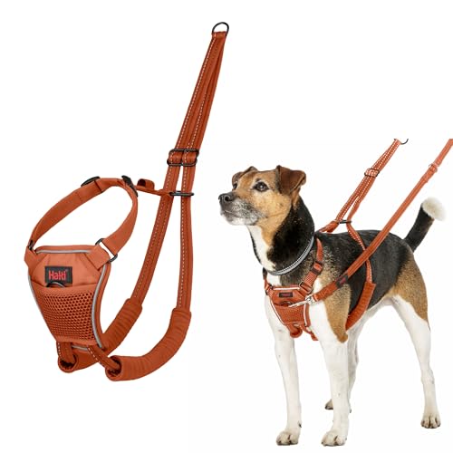 HALTI No Pull Harness - To Stop Your Dog Pulling on the Leash. Adjustable, Lightweight and Easy to Use. Reflective Dog Training Harness for Small Dogs (Size S, Burnt Orange) - Featured